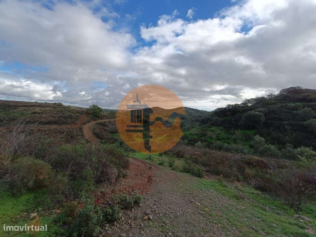 TERRENO COM 59.520 M2 - COM POSSIBILIDADE DE CONSTRUIR - MORADIA - ... - Grande imagem: 5/36