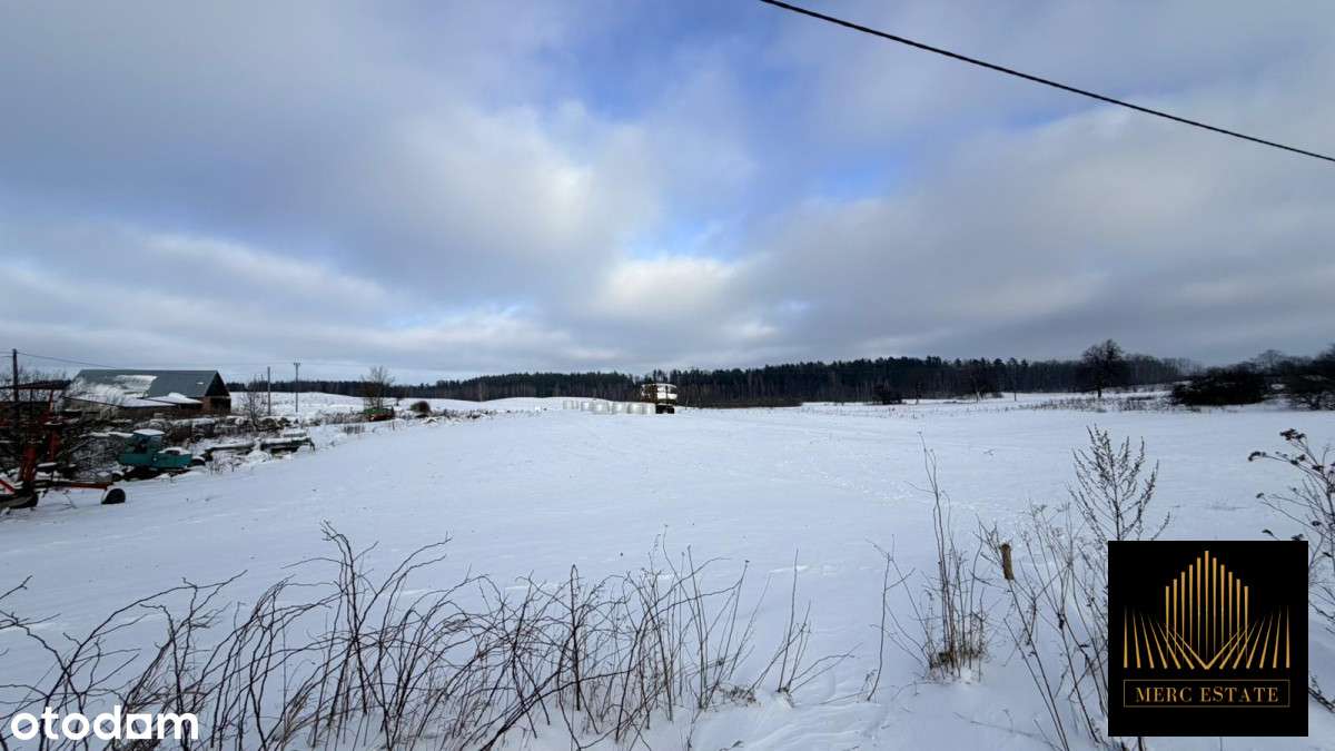 Działka z WZ w Borkach wielkich-4