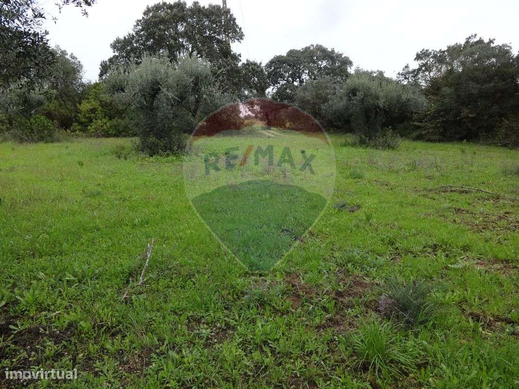 Terreno  para venda - Grande imagem: 4/15