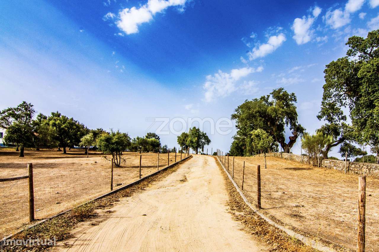 ESPETACULAR MONTE ALENTEJANO DE LUXO, T4+1, JUNTO AO CRATO-PORTALEGRE-5