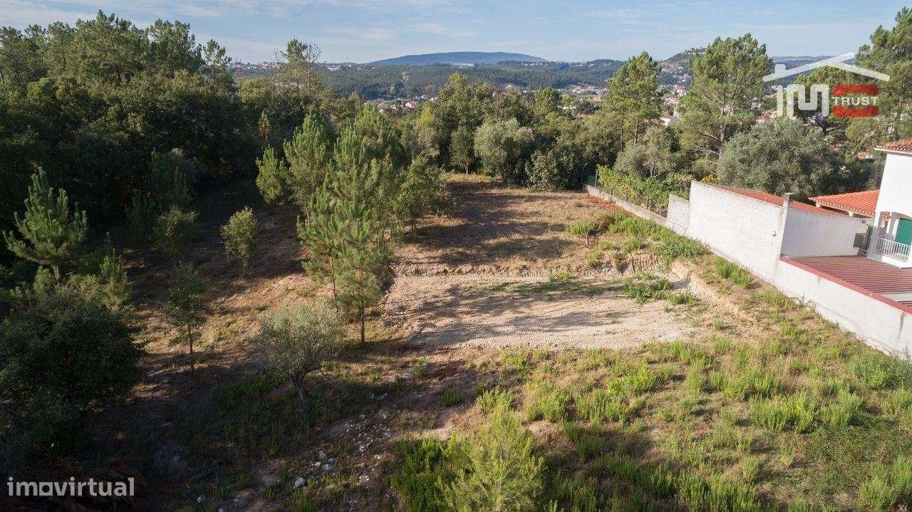 Dois lotes Maravilhosos com uma moradia aprovada, em local soberbo. - Grande imagem: 3/14