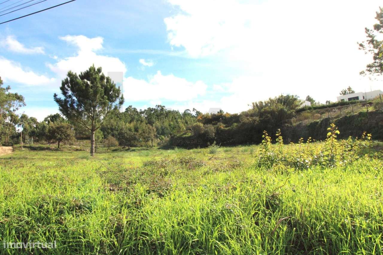 Terreno com 3000m2 URBANO - Grande imagem: 3/11