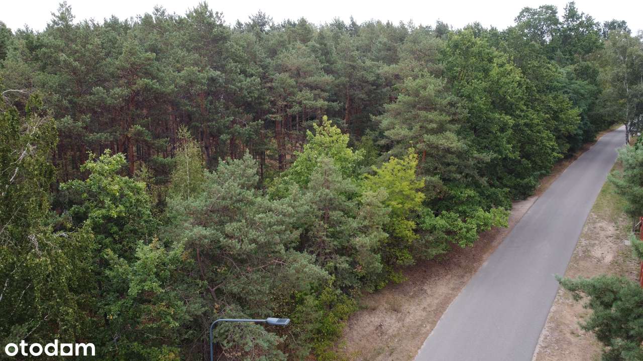 GRUNT INWESTYCYJNY NA SPRZEDAŻ – WARSZAWA WESOŁA (STARA MIŁOSNA) - Pełny obrazek: 3/13