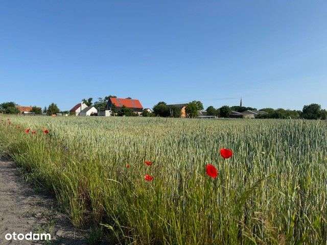 Działka Z Widokiem Na Pola - Pełny obrazek: 1/5