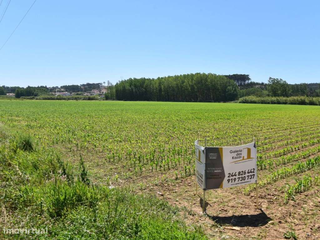 Terreno Agrícola em Leiria de 56.000 m2 (Campos do LIs) - Grande imagem: 2/10