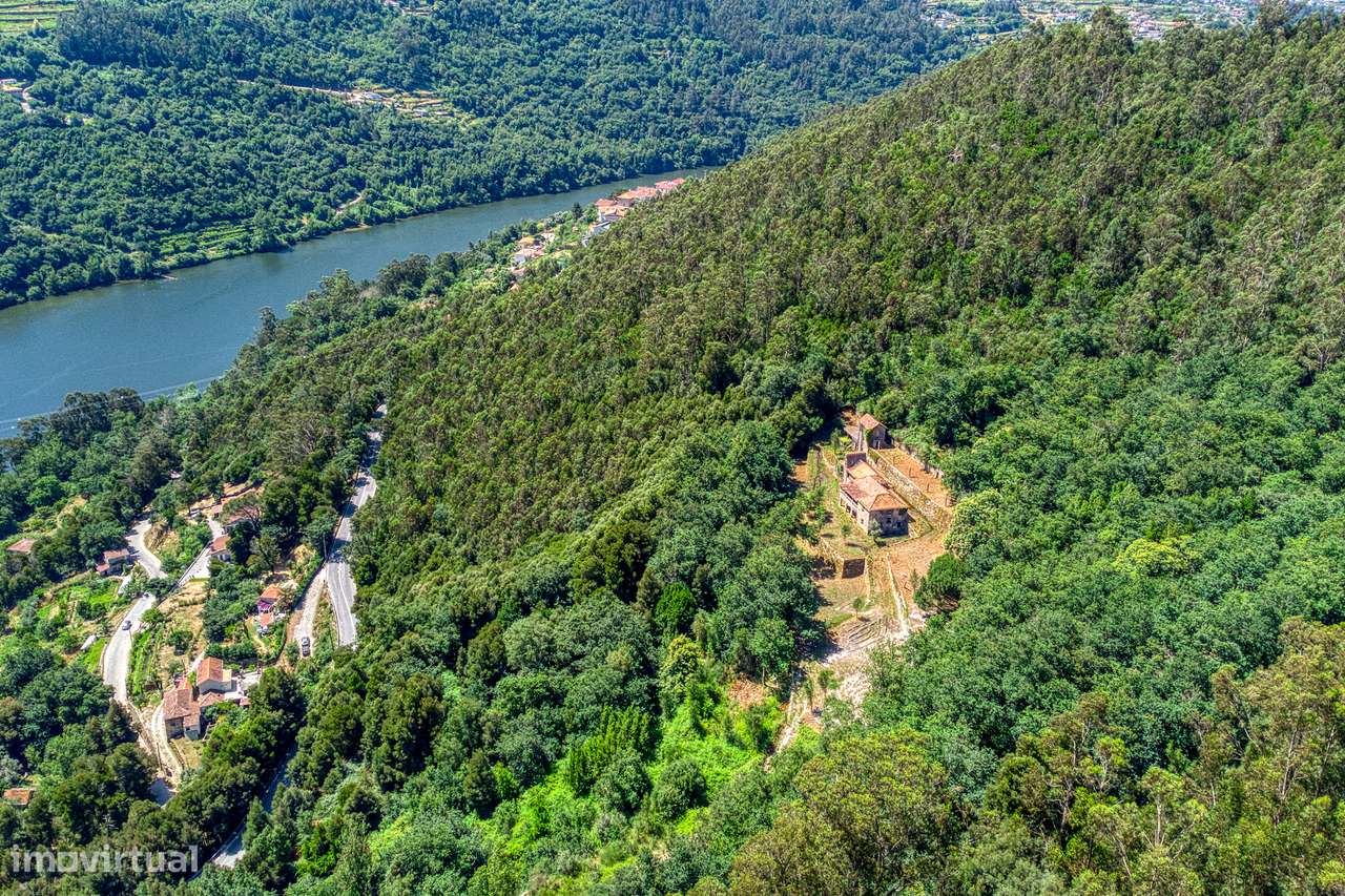 QUINTA NO VALE DO DOURO - 2 CASAS EM PEDRA, 11 HECTARES DE TERRENO-15