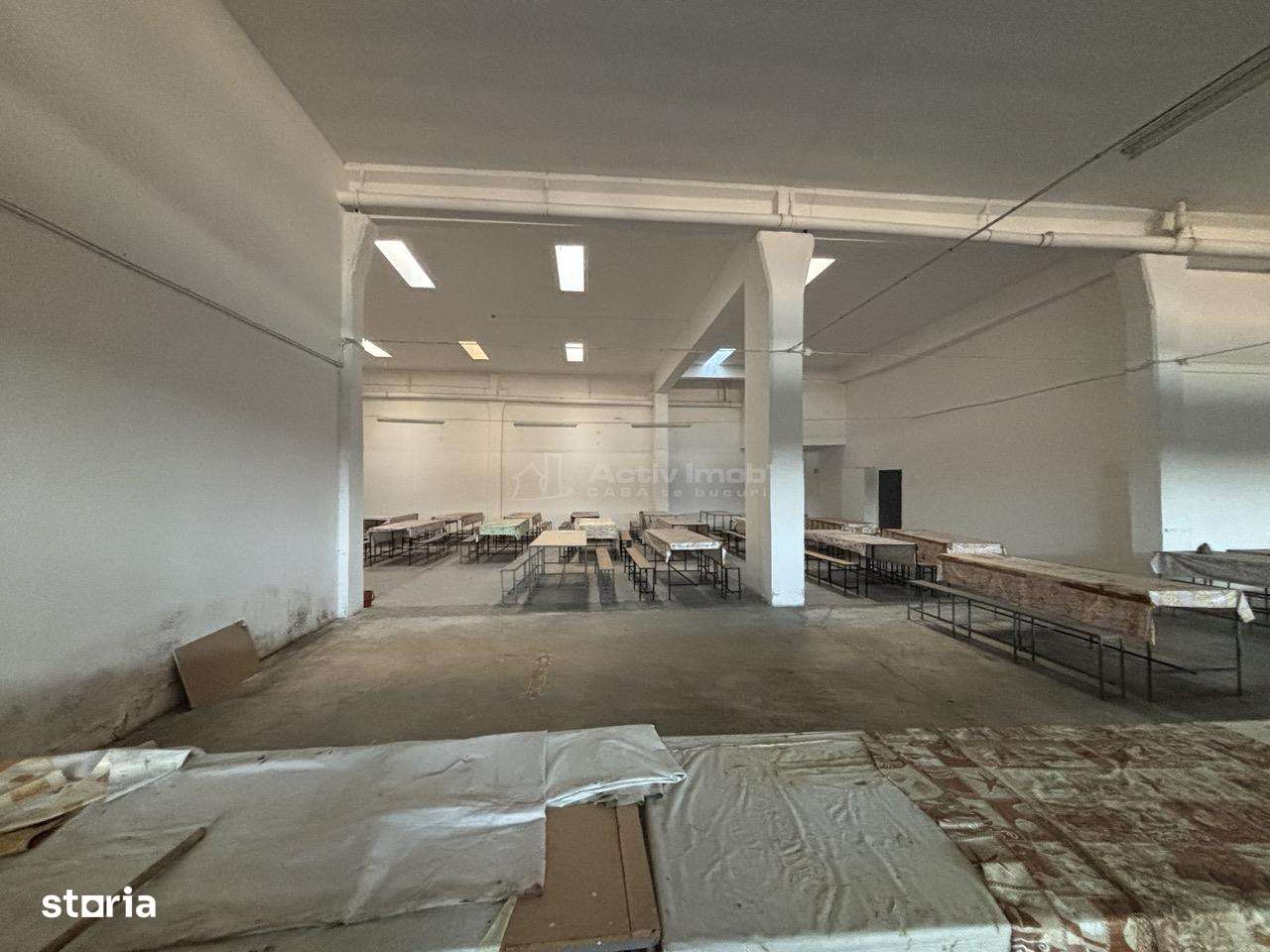 Complex industrial 30130  mp construit - Teren 42558 mp-9