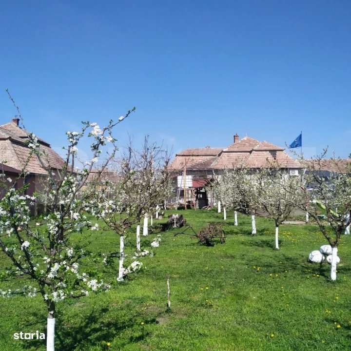 Casa 6 camere, 250 mp, zona Luncani - Imagine principală: 4/18