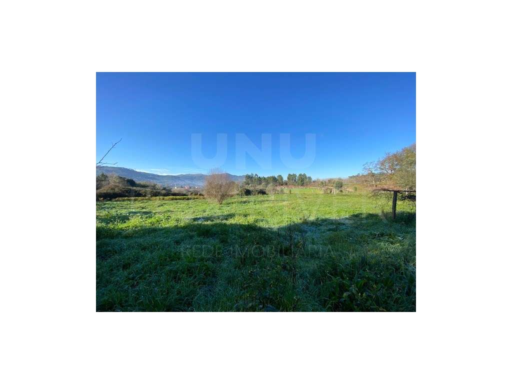 Terreno para Cultivo - Grande imagem: 4/6