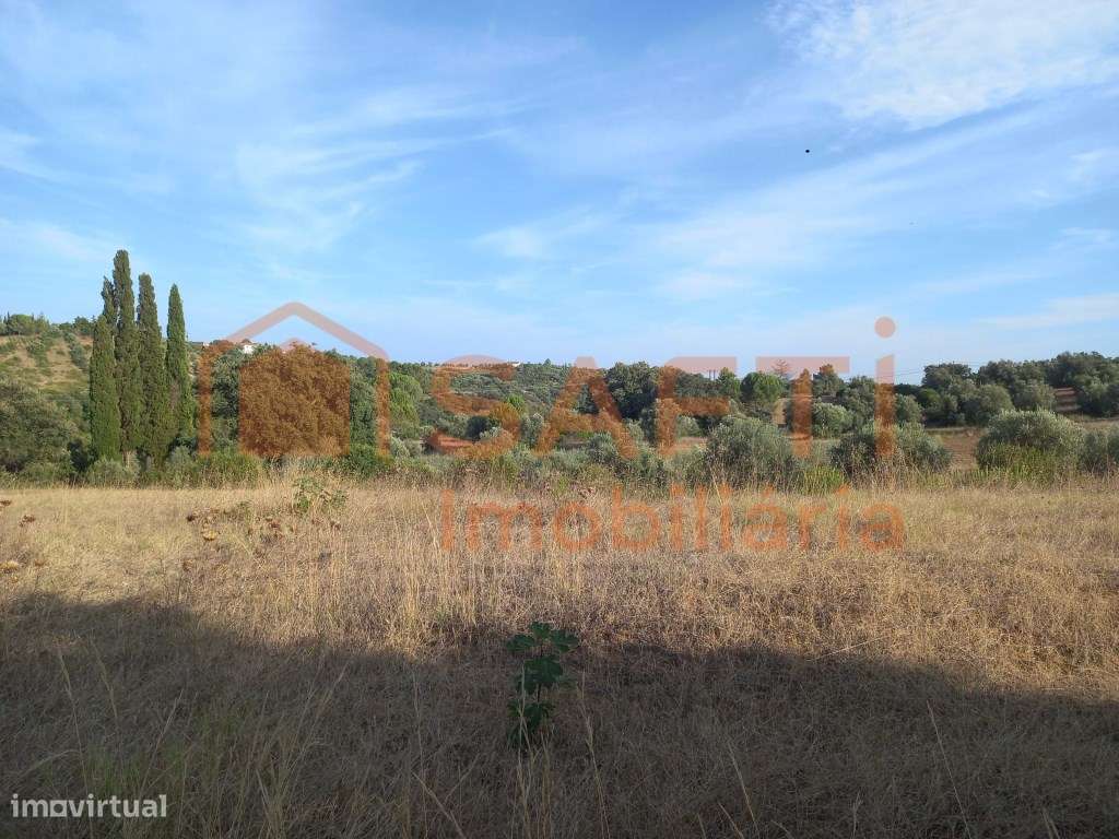 Vende-se terreno rústico - Torres Novas - Grande imagem: 4/5