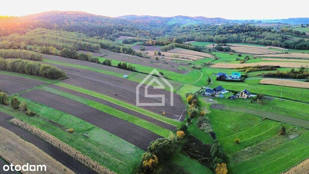 Działka rolna - Królówka - Pełny obrazek: 4/6