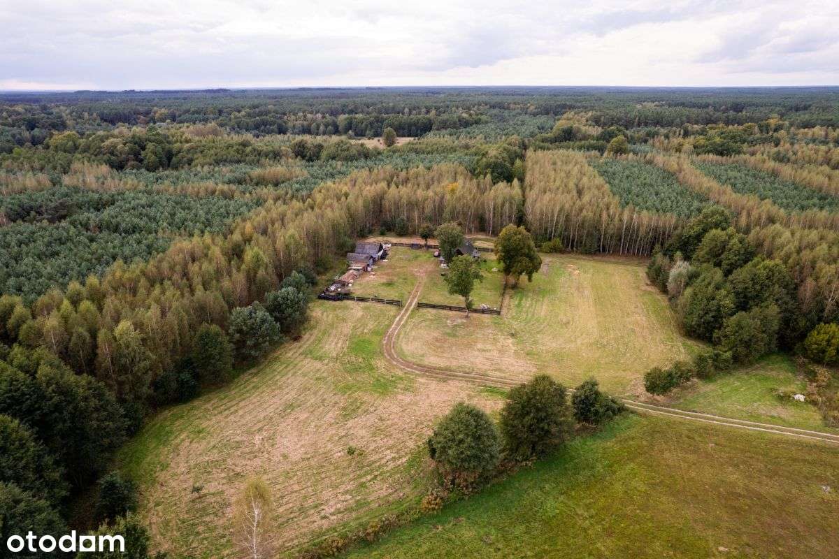 Siedlisko w m. Boruja Nowa-18