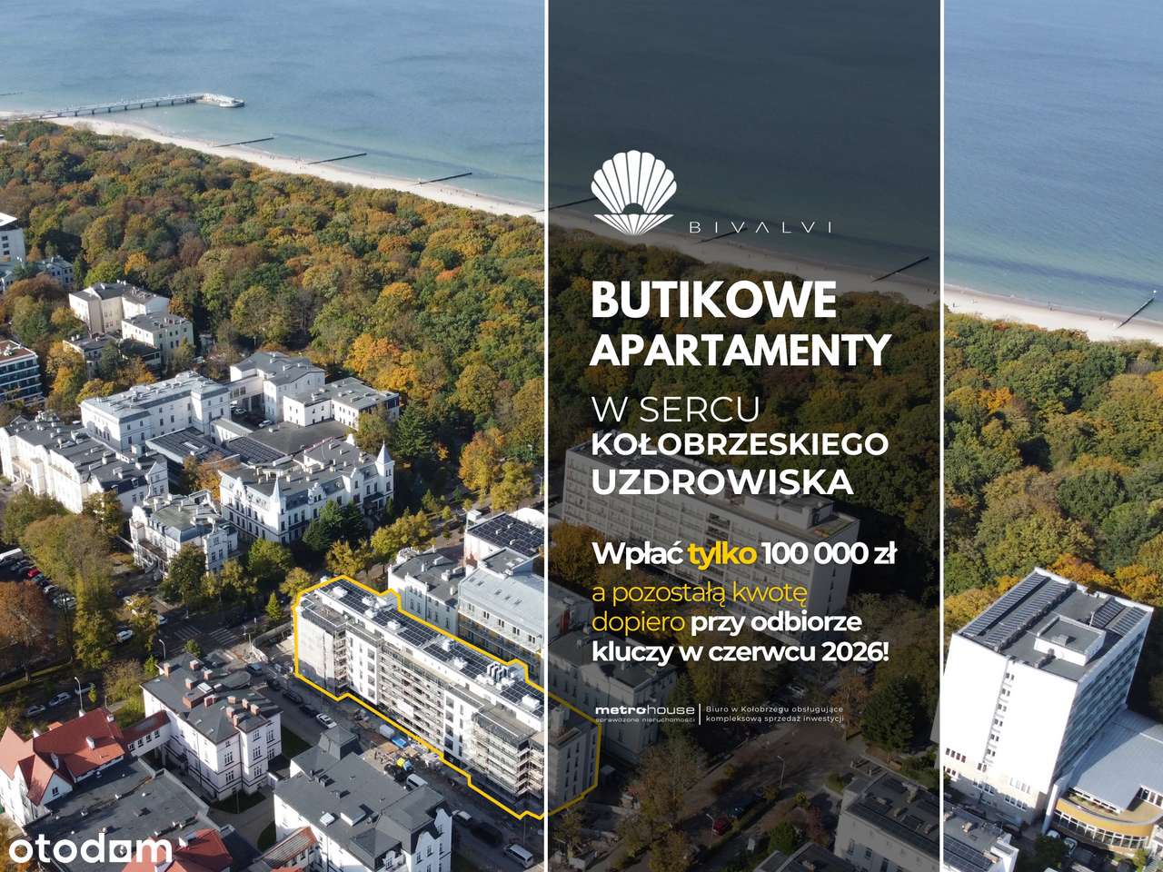 Bivalvi | apartament 2-pok. | 33,49 m² | 214 - Pełny obrazek: 1/9