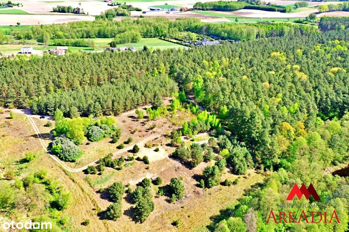 Działka Maliszewo/Lipno - Pełny obrazek: 4/7