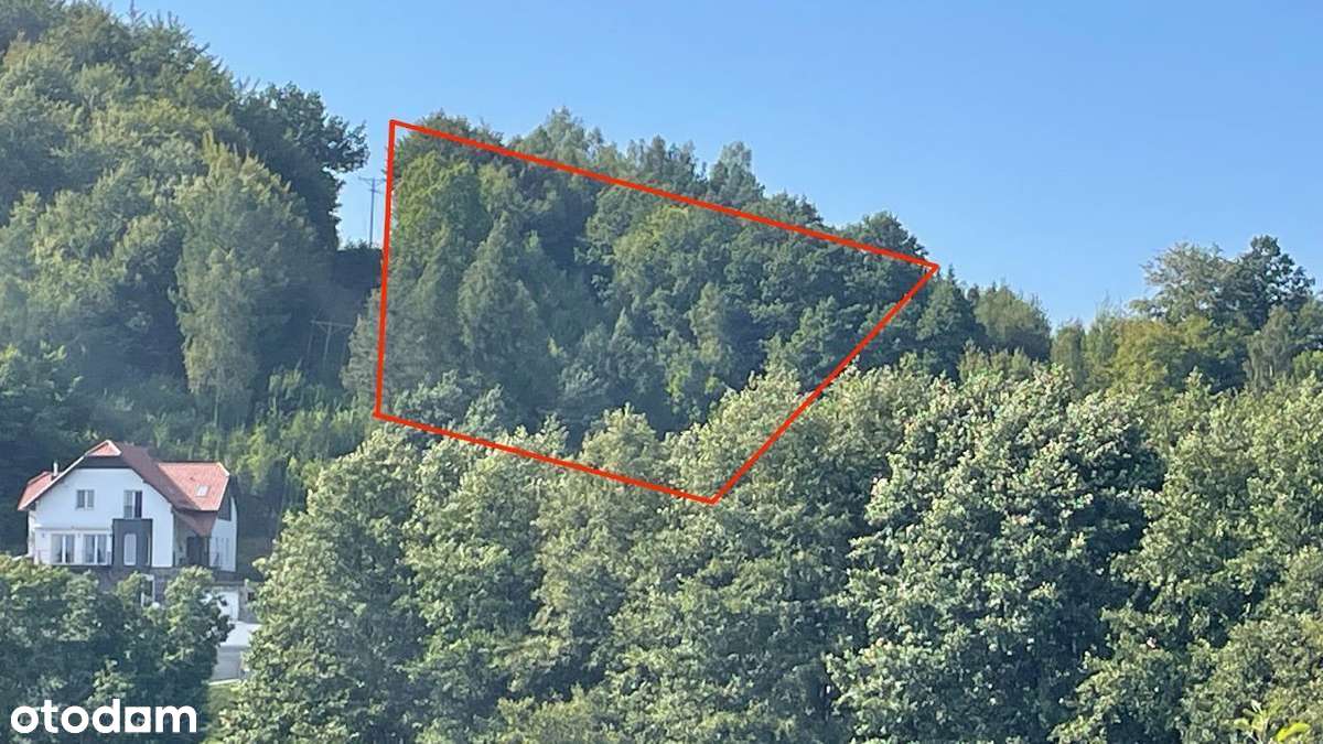 Działka budowlana Brodnica Dolna widok na jezioro, przyjęty plan zago. - Pełny obrazek: 5/10