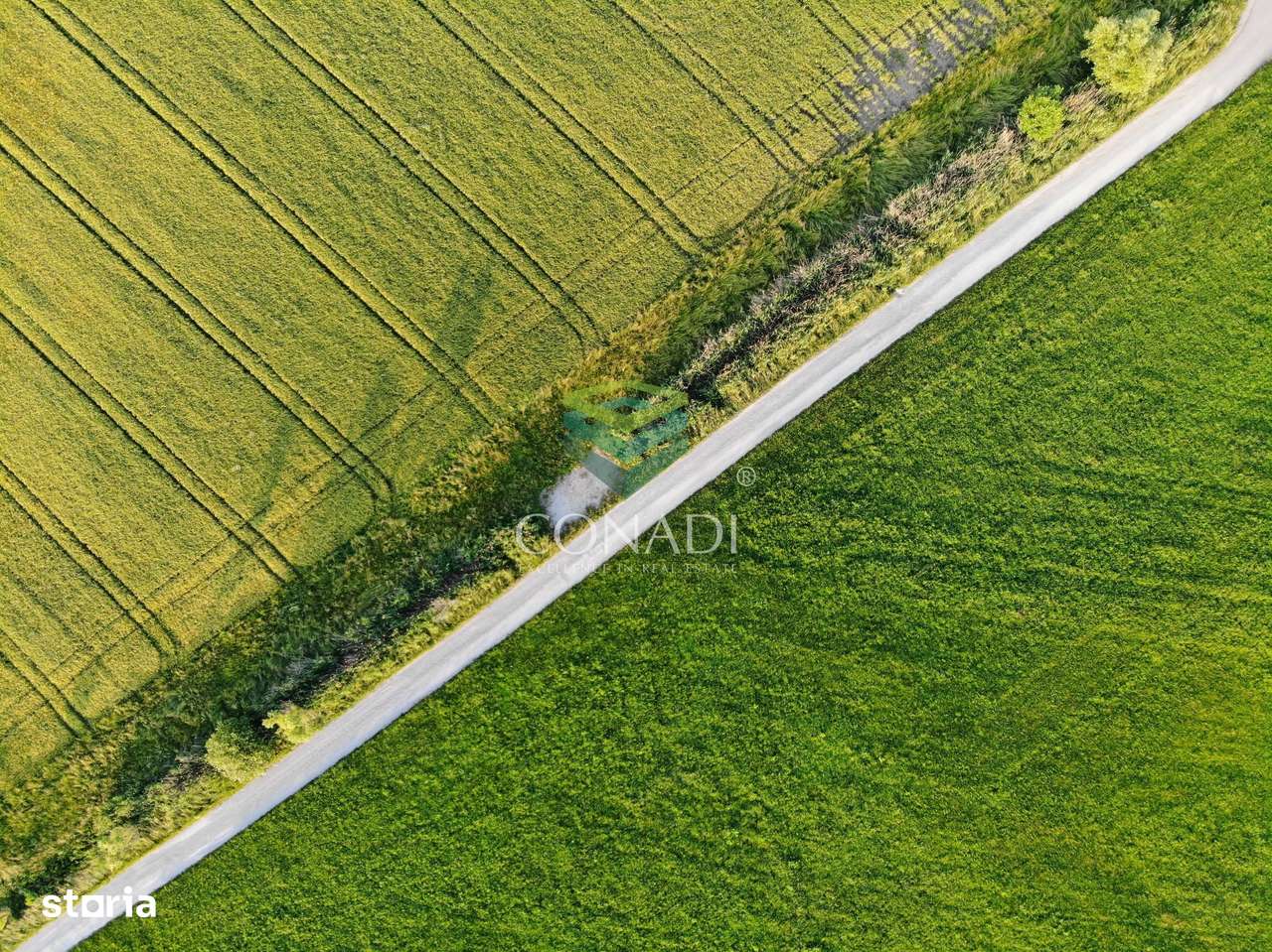 A1 I Teren 97Ha intravilan adiacent Autostrazi| I deschidere la DJ - Imagine principală: 3/3