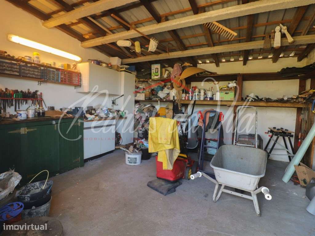 Quinta com 6,5ha em Vale Juncal - São Teotónio-29