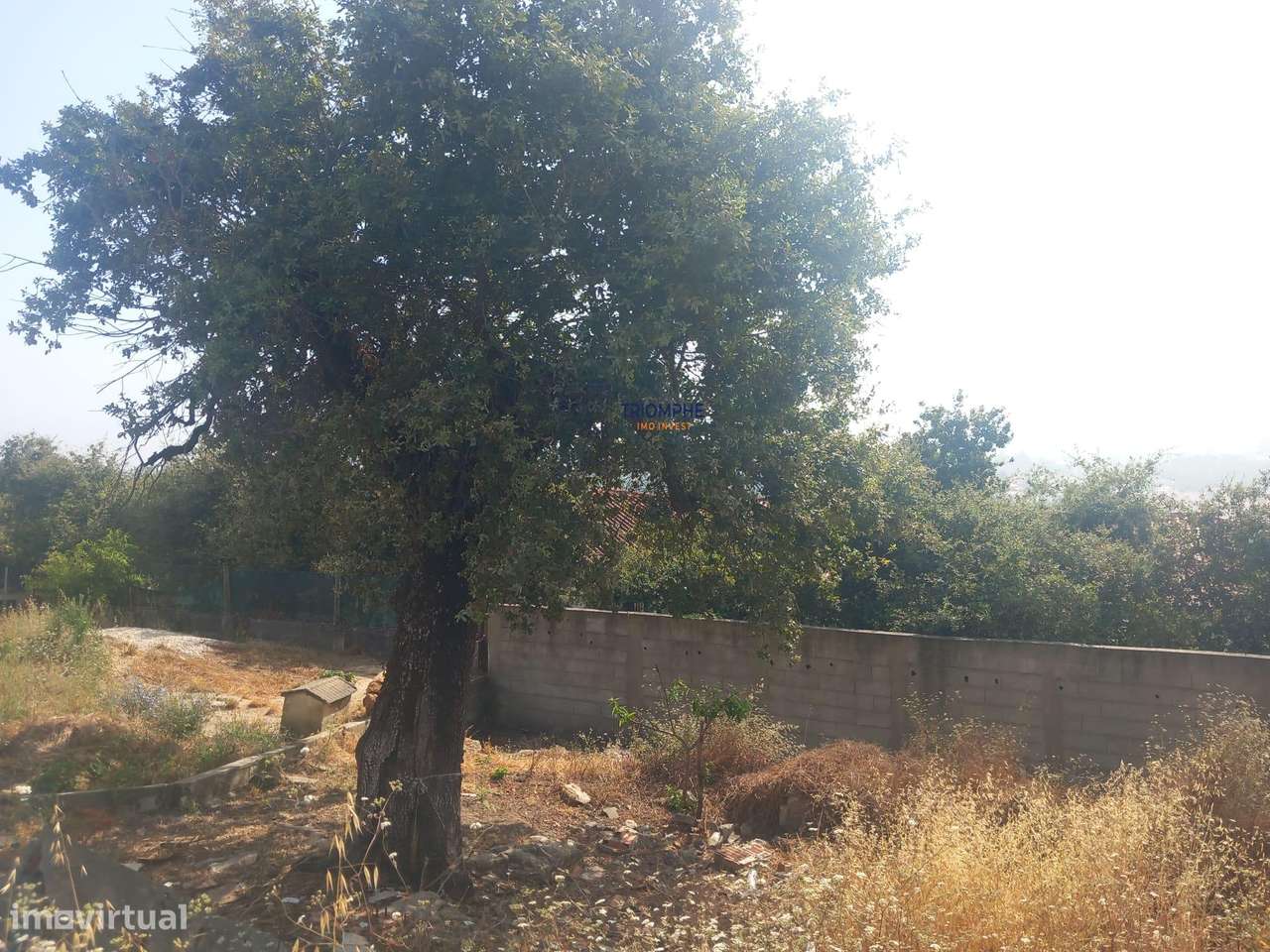 Terreno 471m2 com projeto vista Castelo em Porto de Mós - Grande imagem: 3/12