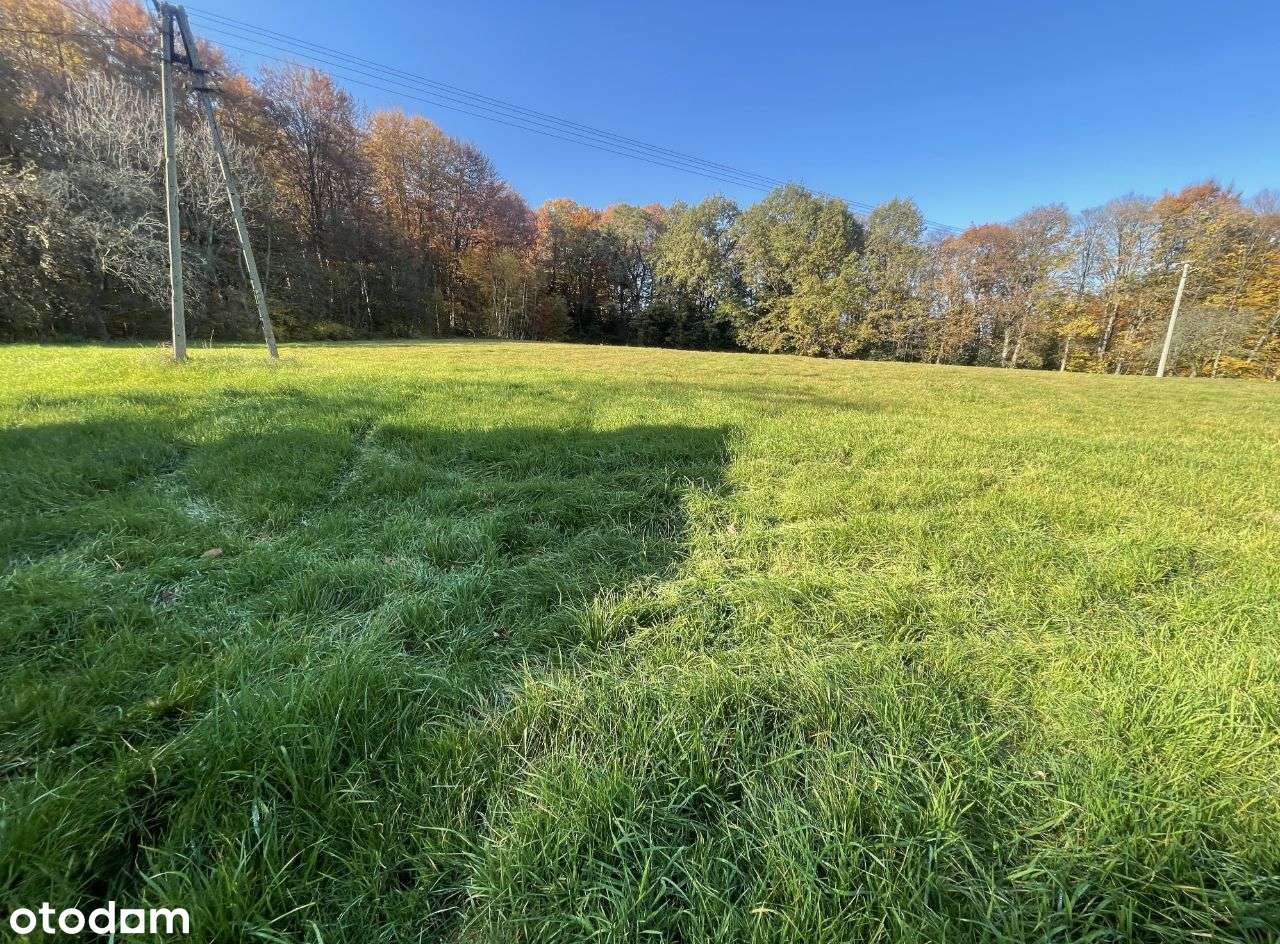 Działka o powierzchni 65 ar w otoczeniu lasu- Hucisko - Pełny obrazek: 2/4