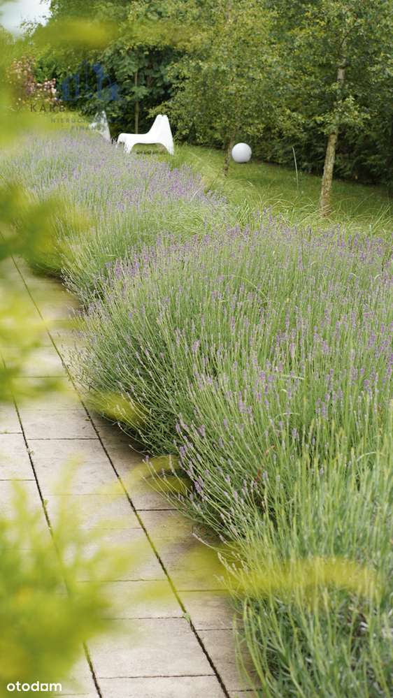 9 domków całorocznych z Klientami lata 2025-2026 - Pełny obrazek: 4/20