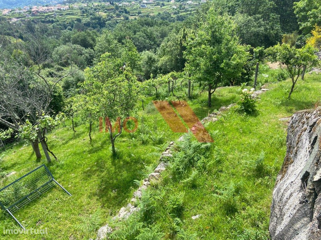 Terreno em Soajo com edificação habitável