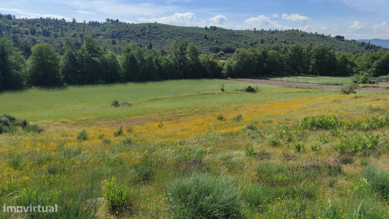 Quinta com Vista para a Serra da Estrela – Um Refúgio Natural-18