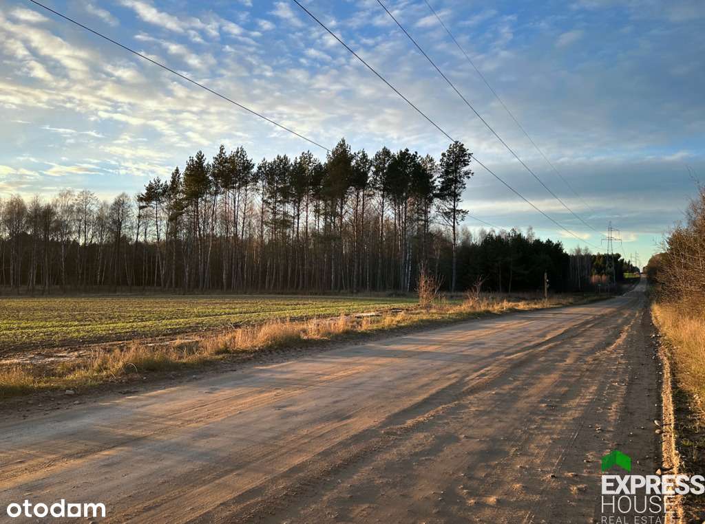 Działka 1 ha w Chrabołach, gm. Dobrzyniewo - Pełny obrazek: 4/6
