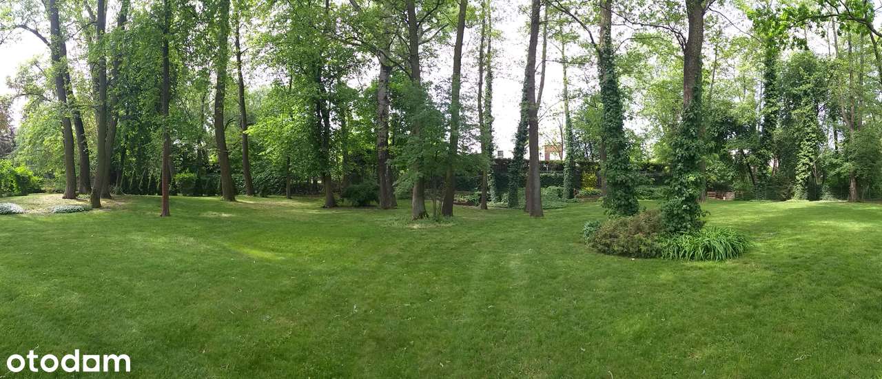 Działka pod rezydencję - Pełny obrazek: 3/7