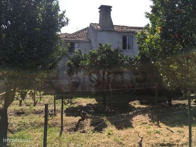 Casa com Terreno em Vilarinho de Cotas, Douro-35