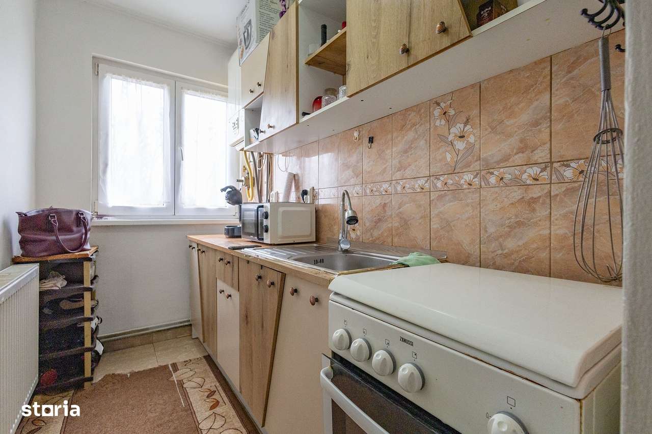 De vanzare apartament 2 camere in Buzias-2