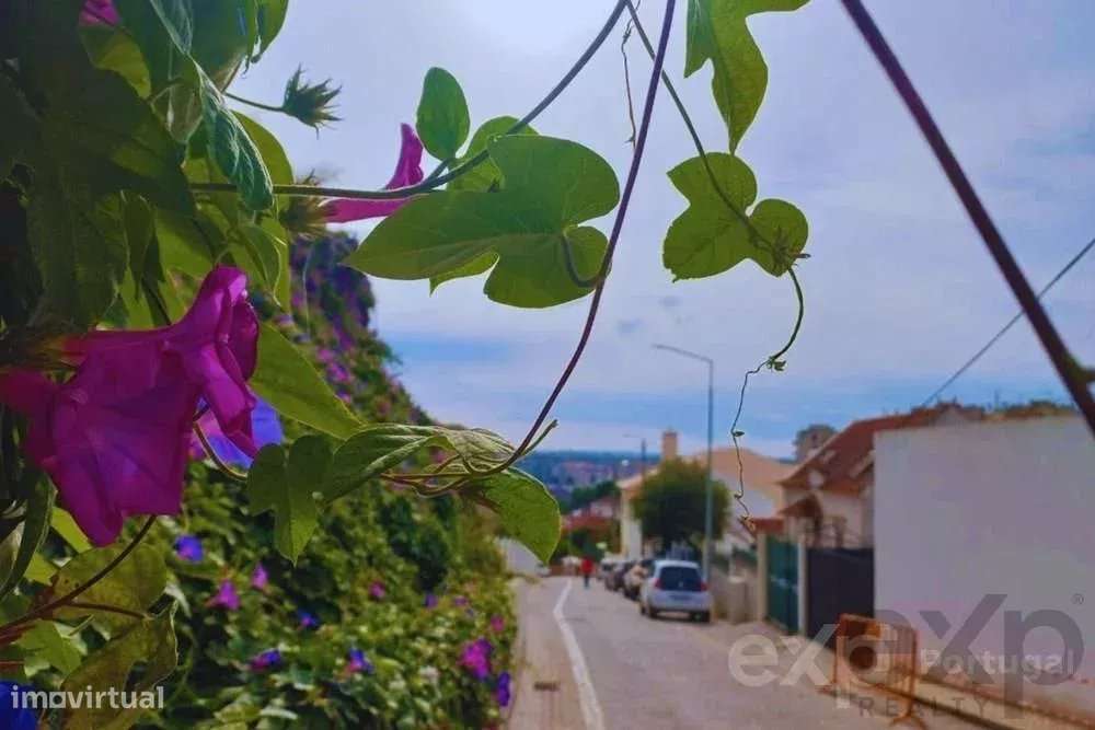 Prédio para reconstruir em Torres Novas - Grande imagem: 2/23
