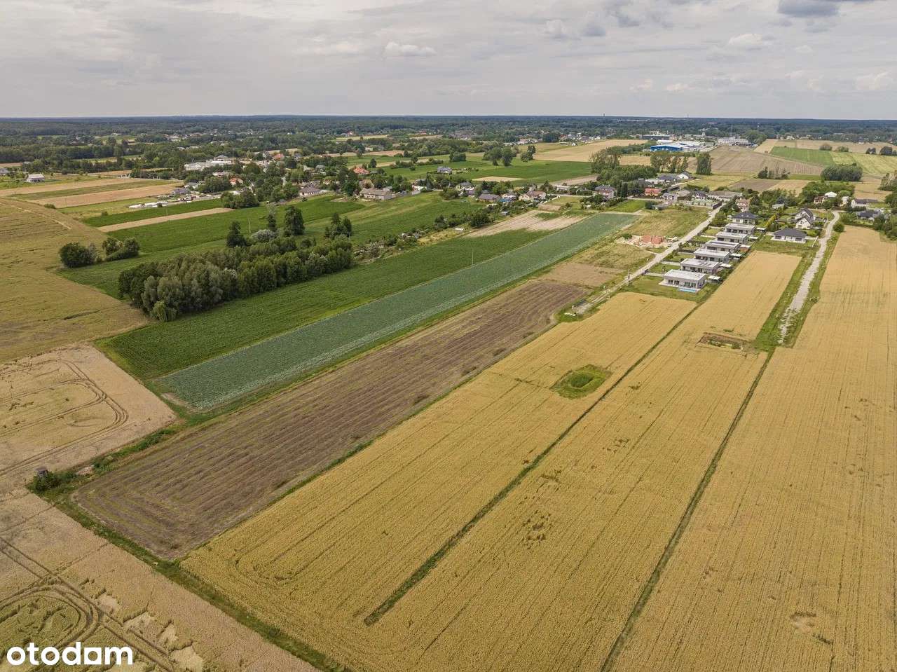 Na sprzedaż działki budowlane – Konstantynów Łódzki, ul. Niesięcin 54 - Pełny obrazek: 5/5