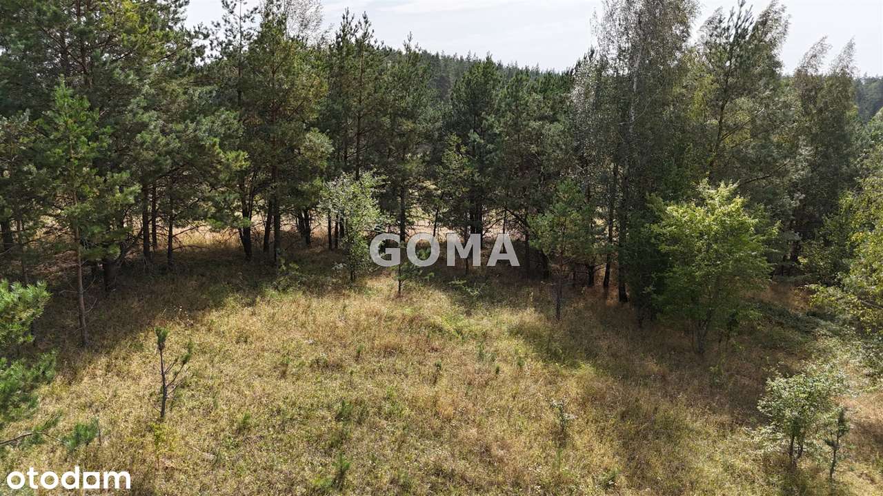 Działka budowl-rekreacyjna jez. Buwełno k/Orzysza-15