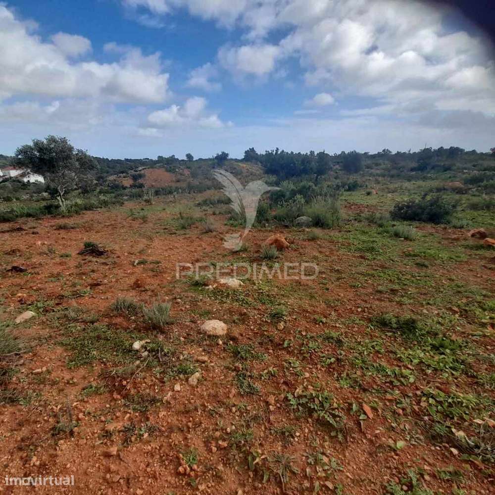 4 terrenos Rústicos  Alecrineira-Cerro Azul - Grande imagem: 2/11