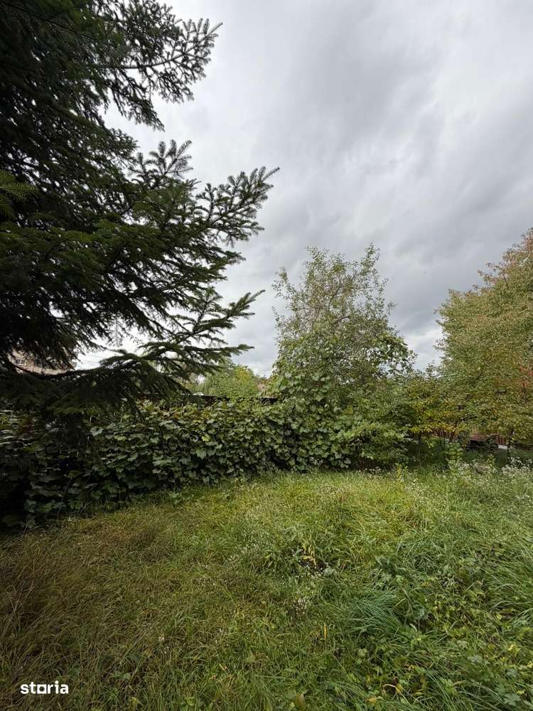 Casă complet renovată, pentru locuință sau pensiune turistică!-18