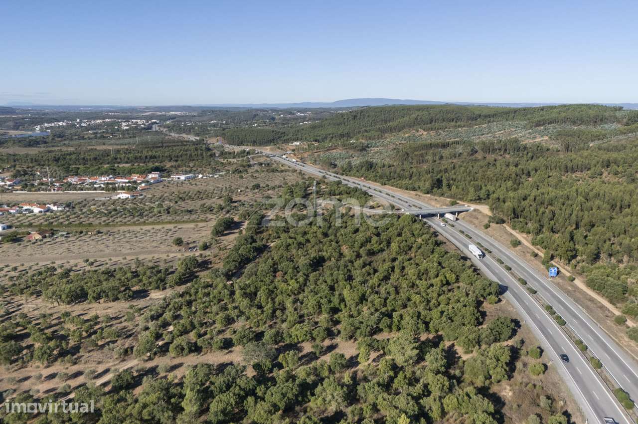 Terreno Rústico || Foro do Milagre || Montalvo, Constância - Grande imagem: 4/15