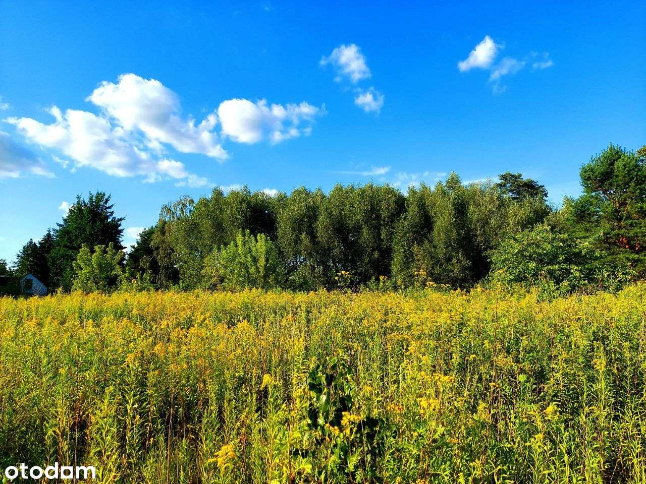 Do sprzedania piękna działka budowlana w Żanęcinie-5