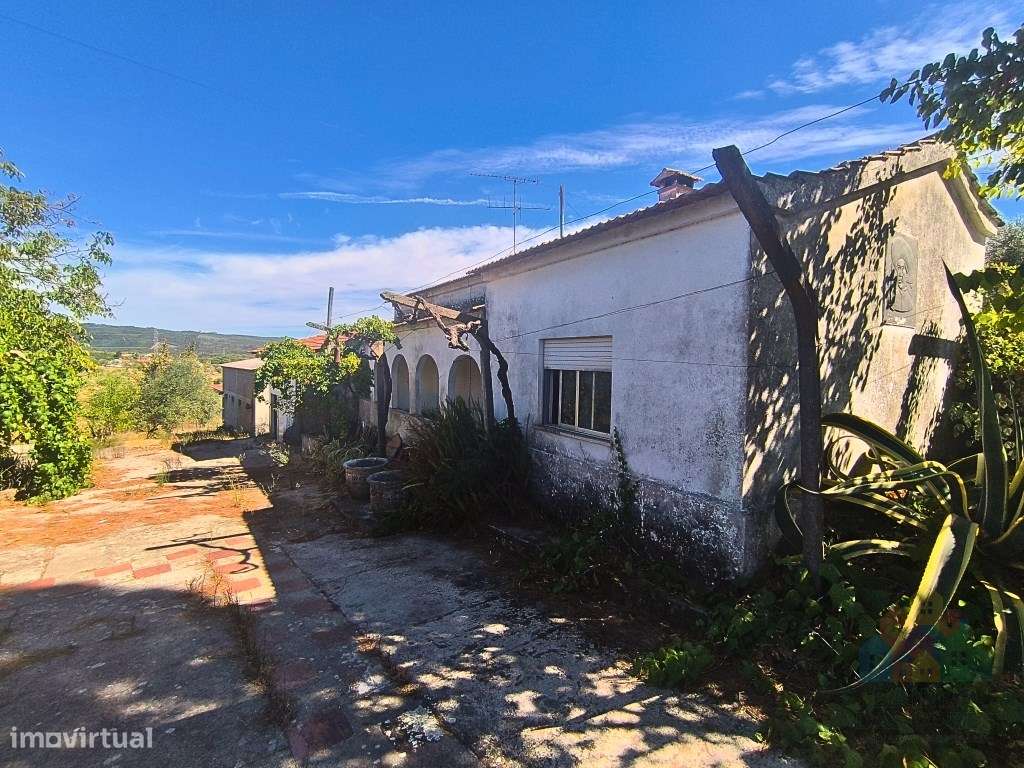 Quinta com 16 mil m2 em Tomar - Grande imagem: 5/16