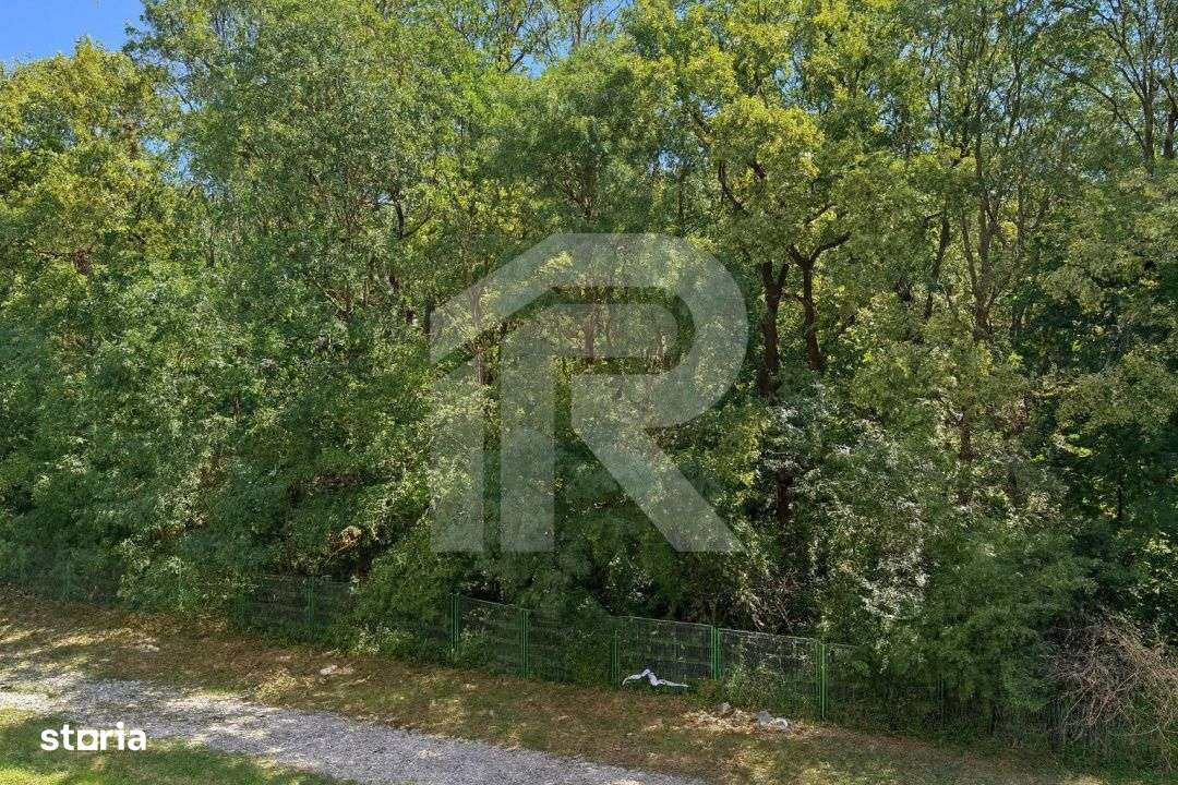 Apartament 3 camere de inchiriat – Greenfield Residence, Baneasa – - Imagine principală: 5/18