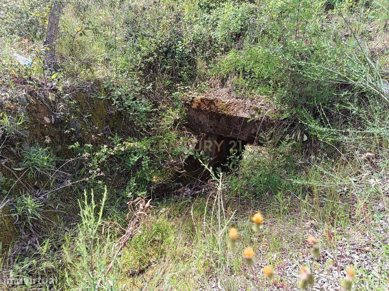 Terreno Rústico com 1.6ha Monfortinho-19