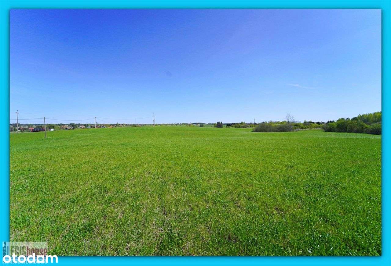 Różnowo* 3004 m2* możliwość podziału na 2 działki-8