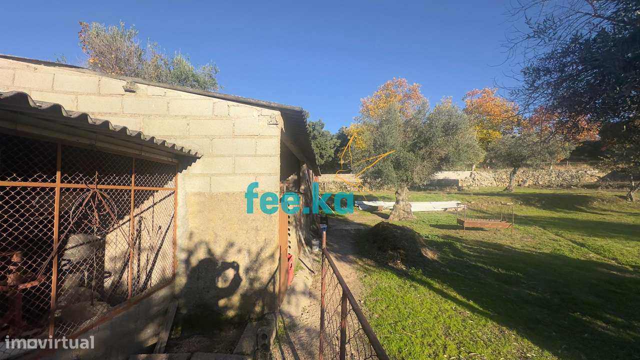 Quinta em Escalos de Baixo-9