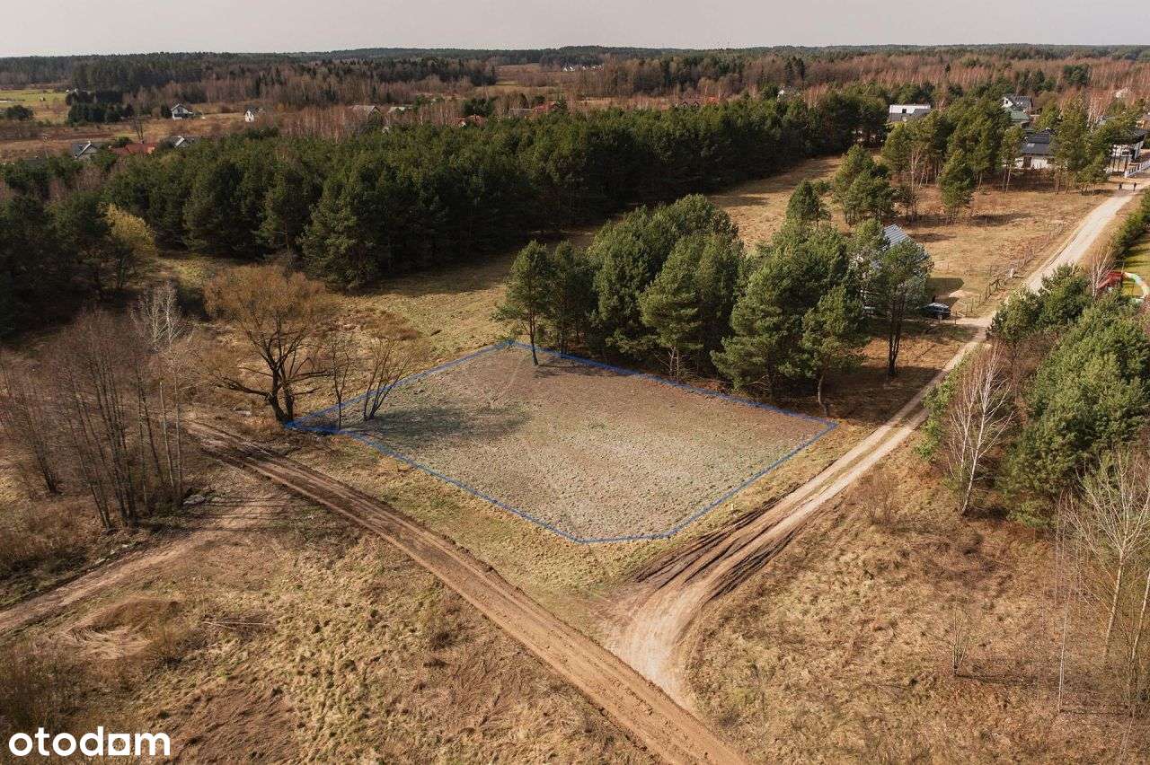 Działka, 1 200 m², Ciasne - Pełny obrazek: 4/8