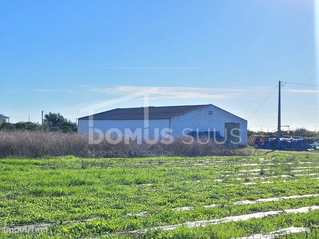 Quinta com 4 hectares terreno em zona calma, a 15min de T...