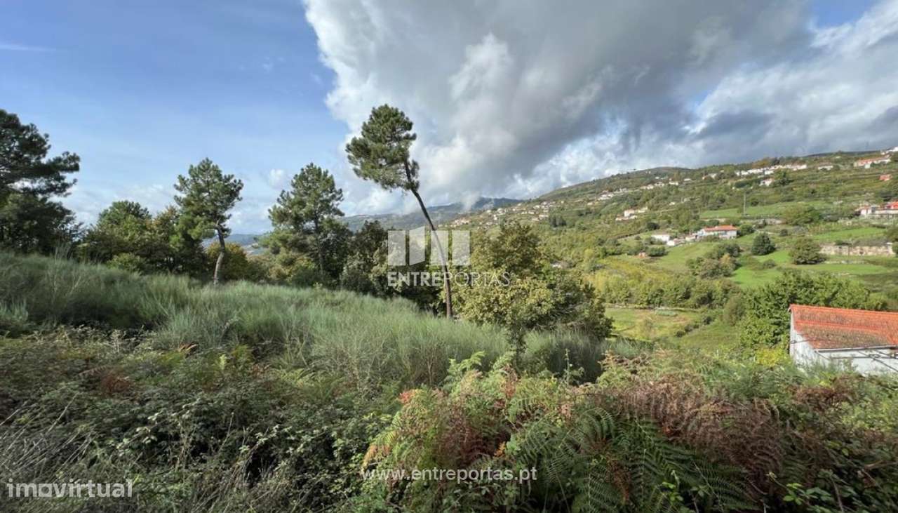 Venda Terreno, Gestaçô, Baião - Grande imagem: 4/29