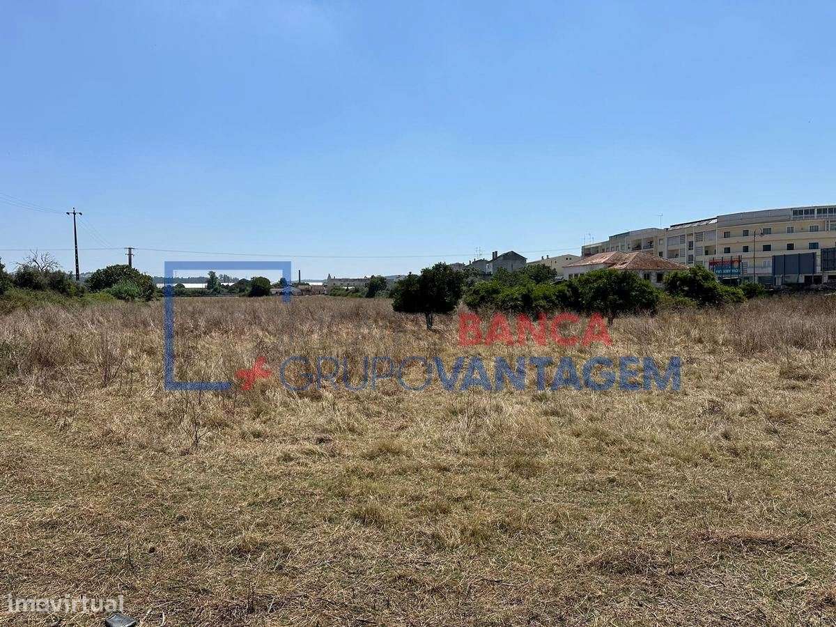 Quinta em Abrantes / Casa Senhorial - Grande imagem: 4/20