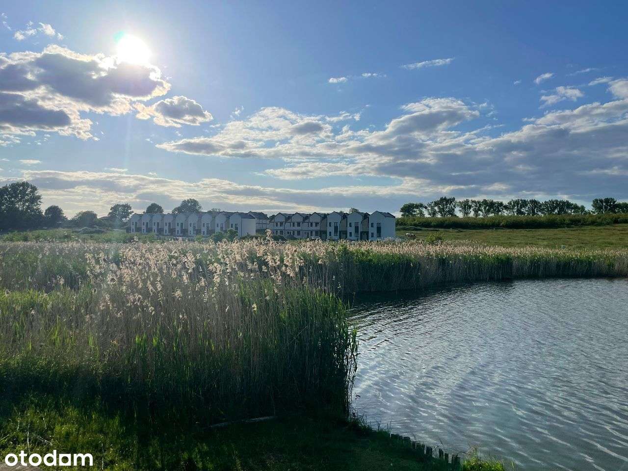 Działka budowlana nad stawem Kostrzyn - Tarnowo - Pełny obrazek: 3/18