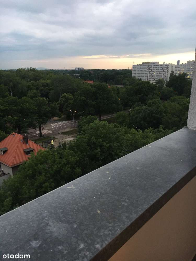 3 pokoje -Biskupin-14