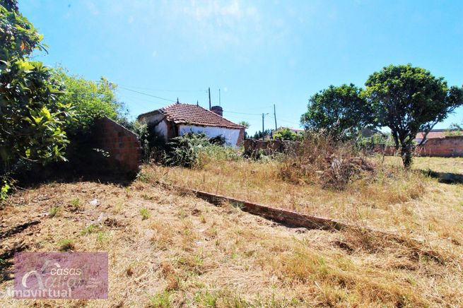Moradia para reconstruir e terreno Localizado em Ervedeira Coimbrão-8