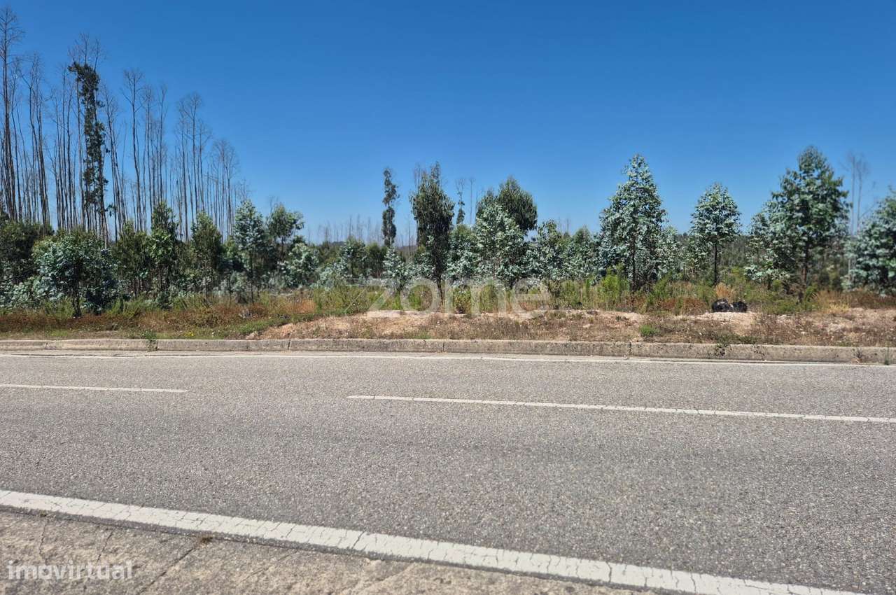 Terreno Rústico na Caranguejeira - Grande imagem: 3/22